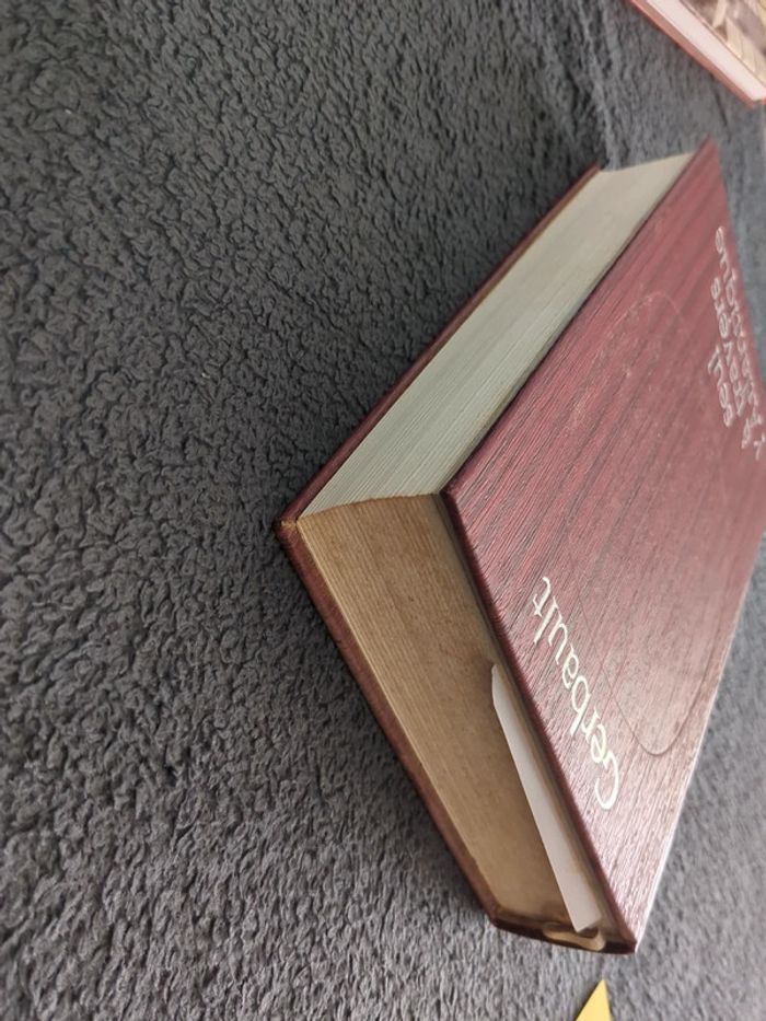 Livre - seul a travers l'Atlantique - photo numéro 3