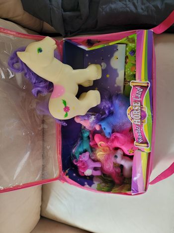 Coffret petits poneys