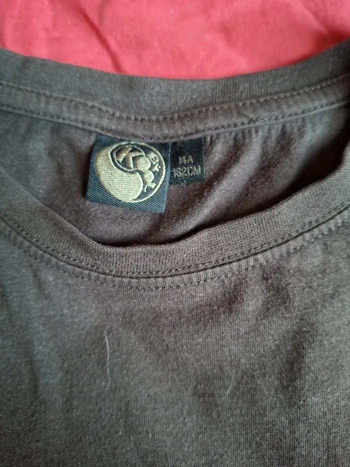 Lot de tee-shirts shirts anvhes courtes 14.ans - photo numéro 15