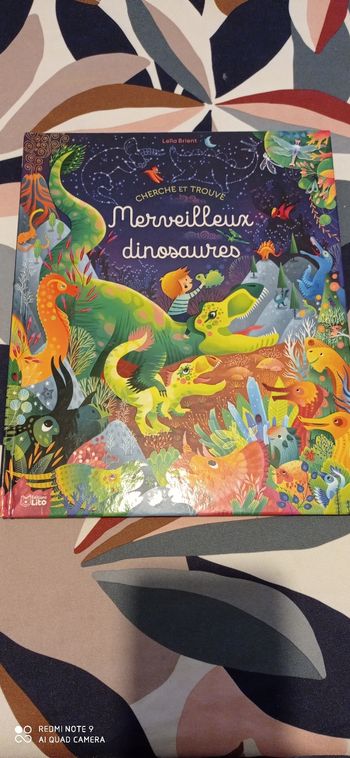 Livre cherche et trouve " merveilleux dinosaures"