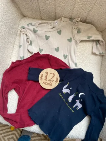 Lot 3 tee shirts manches longues fille 12 mois
