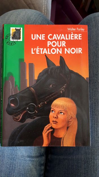 Une cavalière pour l'étalon noir