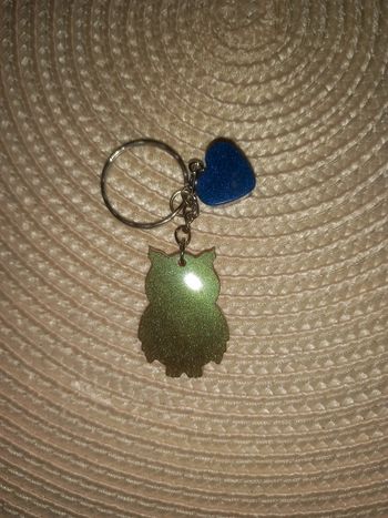 Porte clé chouette résine epoxy