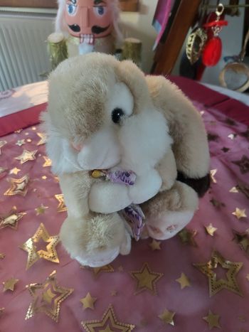 Peluche lapin 🐰
