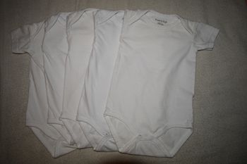 lot bodies