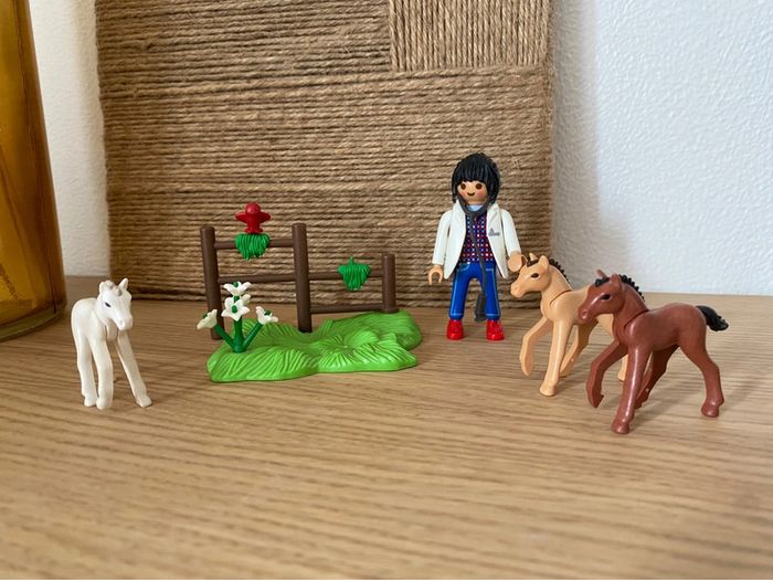 Playmobil vétérinaire et poulains