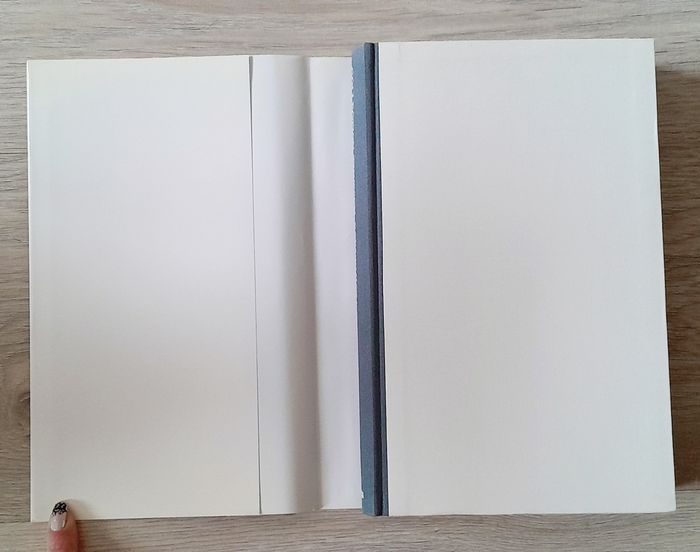 Collection Thyssen-Bornemisza guide des œuvres exposées - photo numéro 4