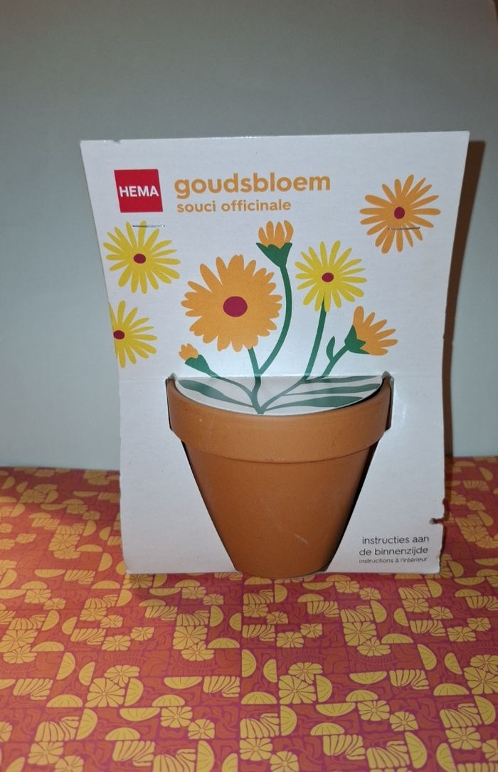 Pot de fleurs et graines a planté