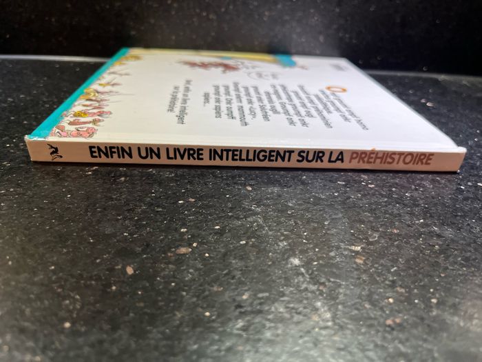 Livre BD sur la préhistoire - photo numéro 4