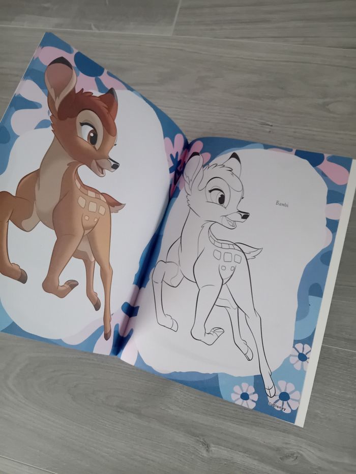 Cahier Coloriage Disney - photo numéro 5