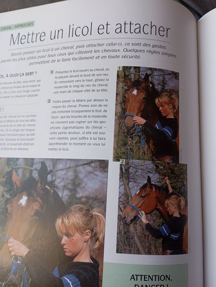 L'équitation les techniques de base - photo numéro 7