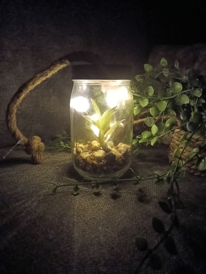 Bocal lumineux avec cactus