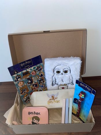 Box cadeaux Harry Potter 