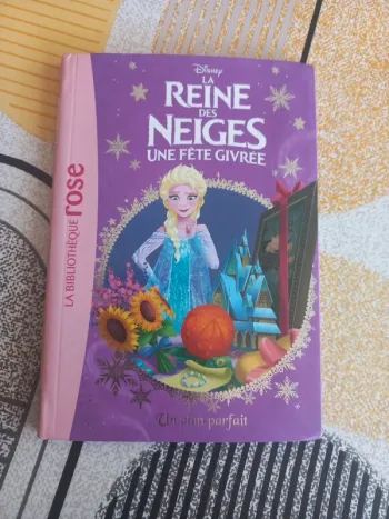 Bibliothèque rose La reine des neiges tome 18