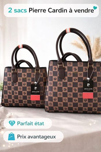 Lot de 2 sacs Pierre Cardin – Grand + petit modèle – Neufs ✨