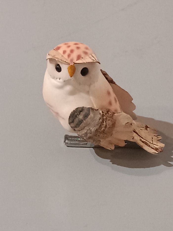 Chouette pince - photo numéro 9