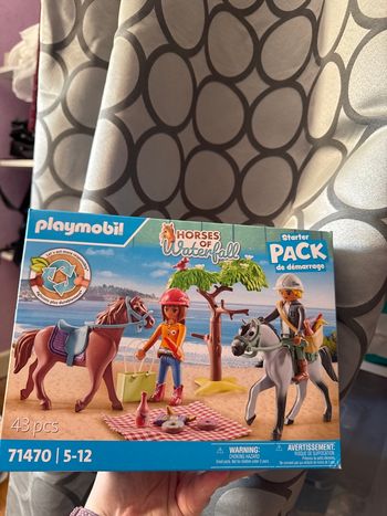 Playmobil chevaux et pique nique 