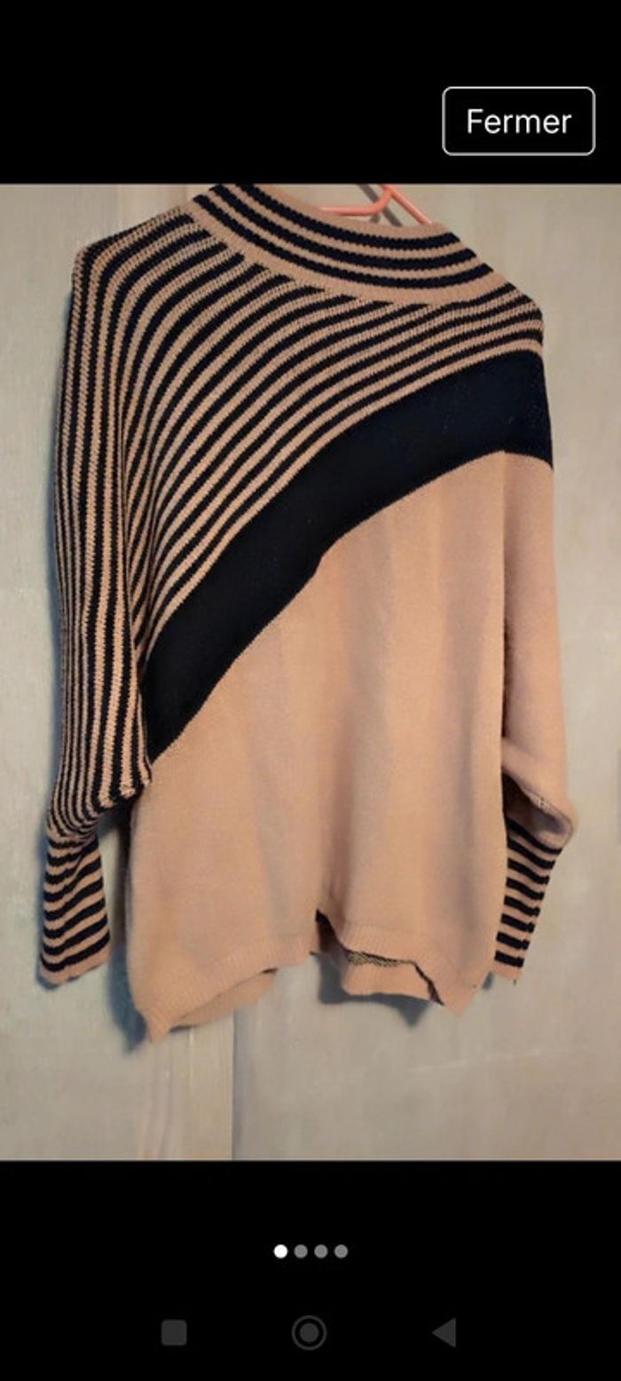 Magnifique pull bi color