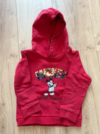Superbe sweat Disney