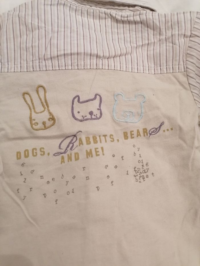 Chemise - photo numéro 4