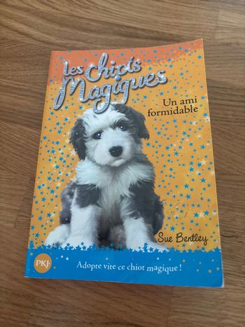 Roman enfant Les chiots magiques