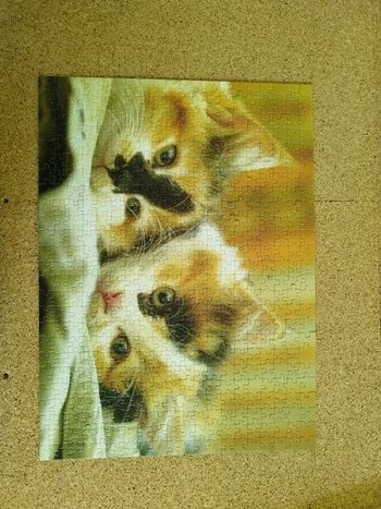 Puzzle chat