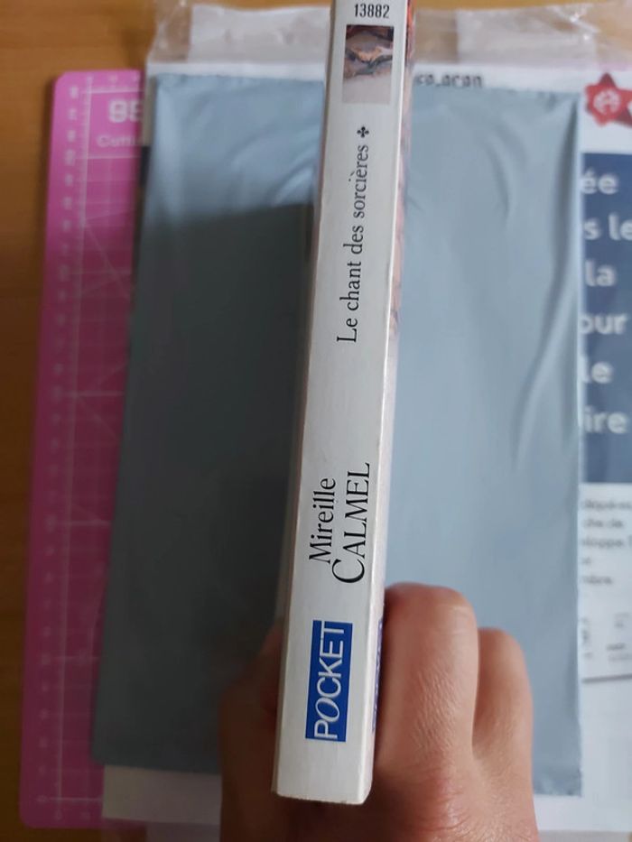 Le chant des sorcières tome 1 - photo numéro 3