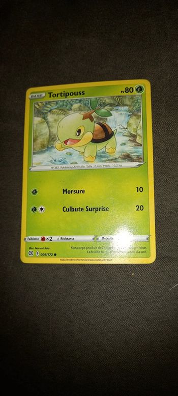 Carte pokémon tortipouss