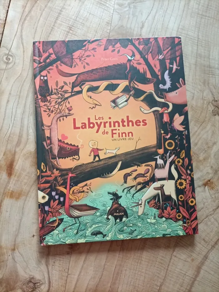 Livre jeu Flinn