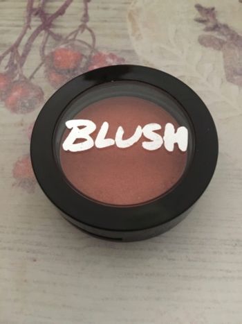 Blush corail Model Co juste swatché