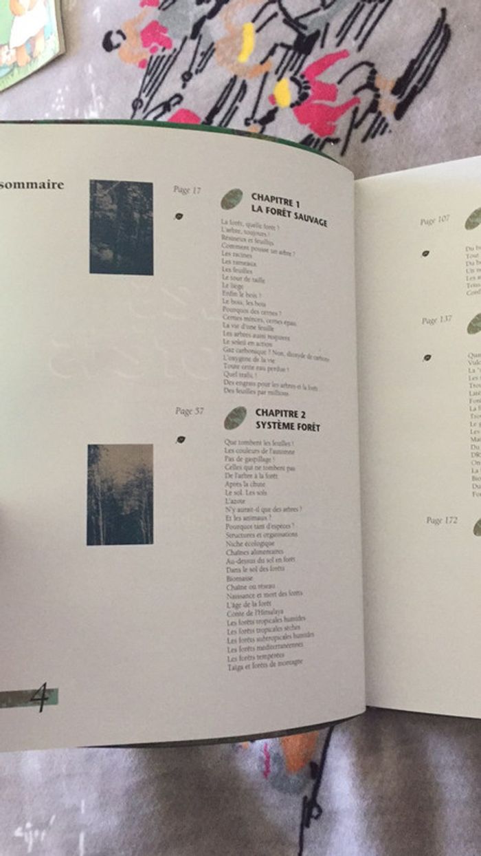 Les Forêts - photo numéro 3