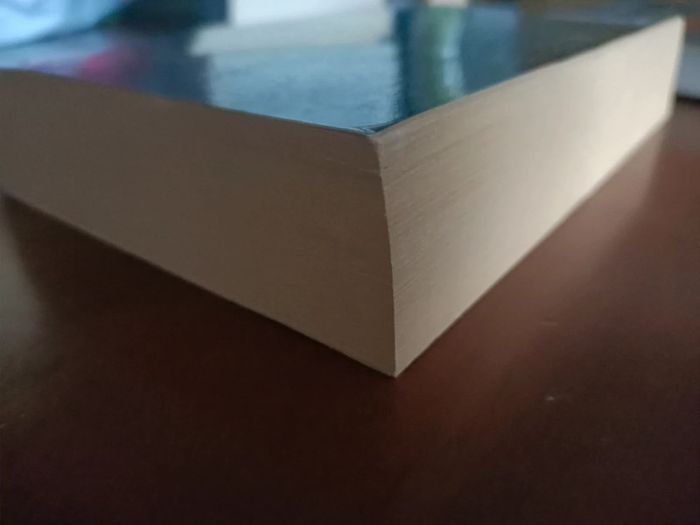 Livre de poche incarceron (Catherine fisher / éditions pocket jeunesse) - photo numéro 5