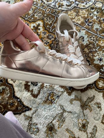 Baskets Zara taille 36 nouveau