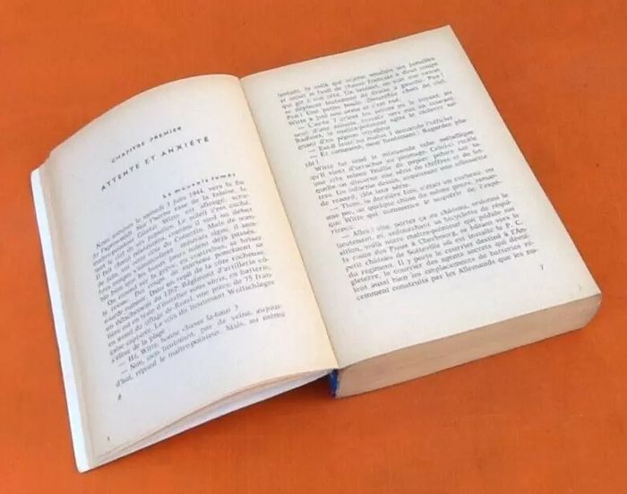 Paul Carell Ils arrivent ! La bataille de Normandie vue du côté des Allemands - photo numéro 3