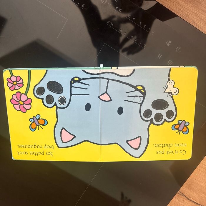 Ou est mon chaton - photo numéro 2