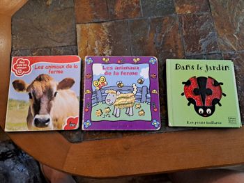 3 livres cartonnés