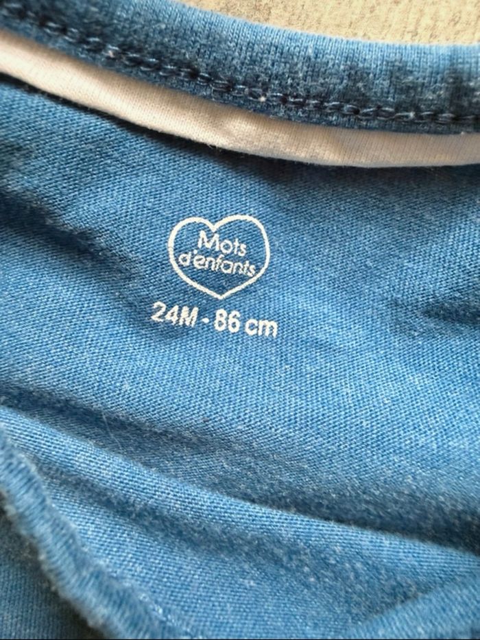 Lot 2 tee-shirts manches longues garçon 2 ans - photo numéro 3