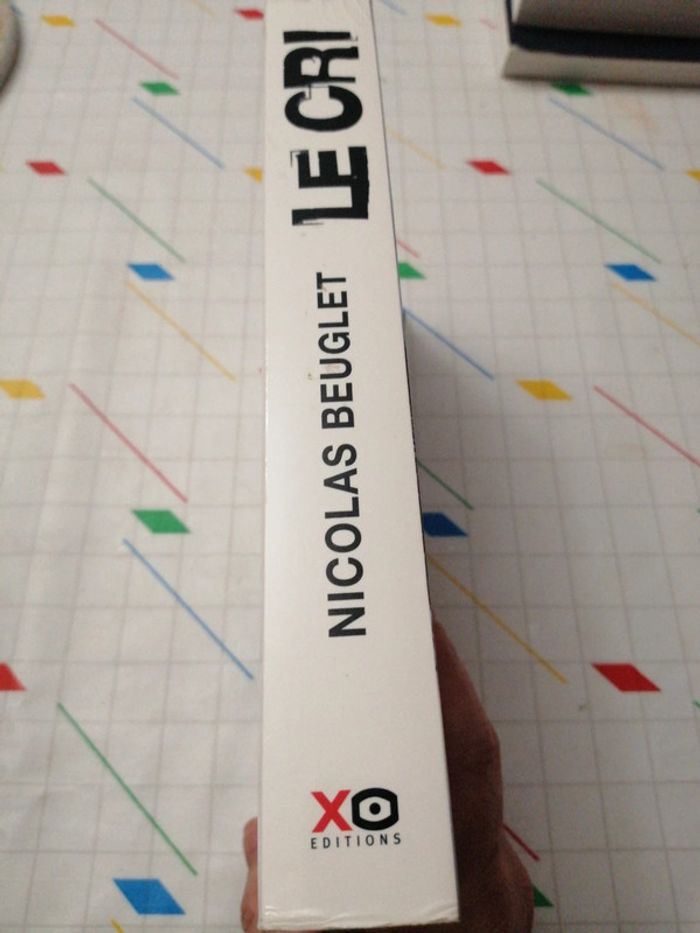 Le cri - photo numéro 3