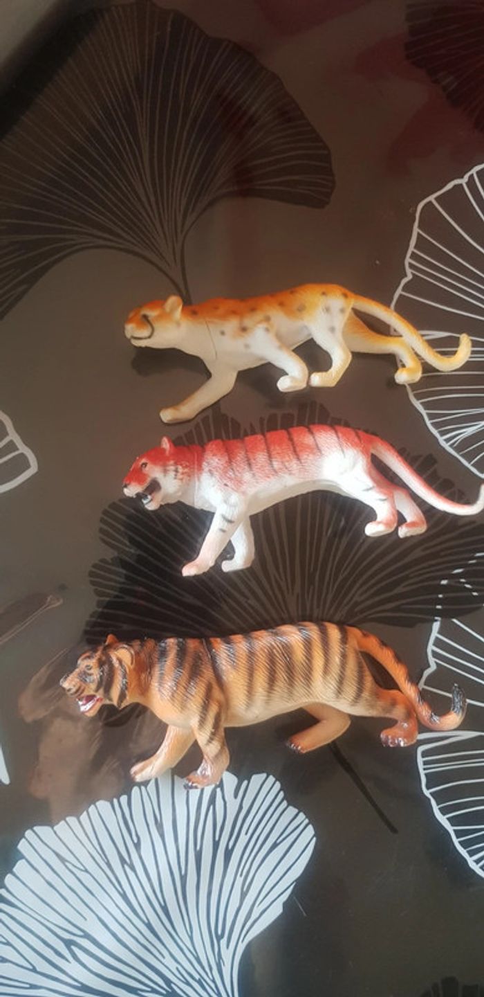 3 tigres