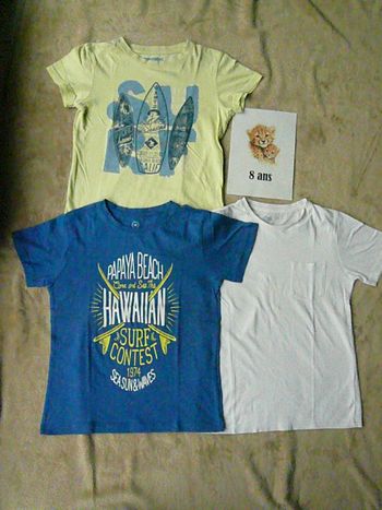 Lot de 3 tee-shirts 8 ans (n°42)