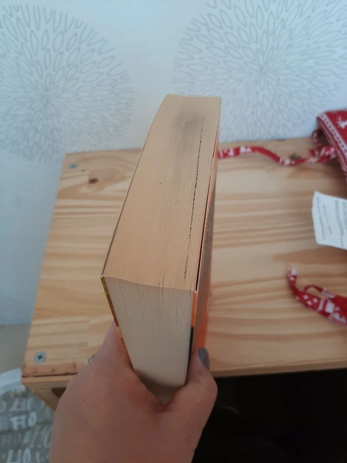 Livre éclair d'été - photo numéro 3