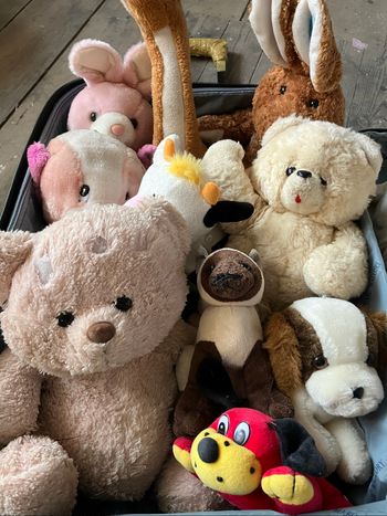 Lot peluches