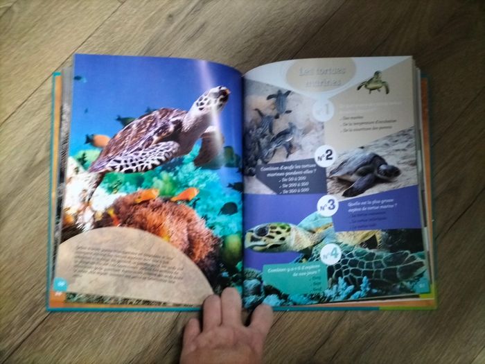 Livre 169 questions/réponses animaux - photo numéro 5