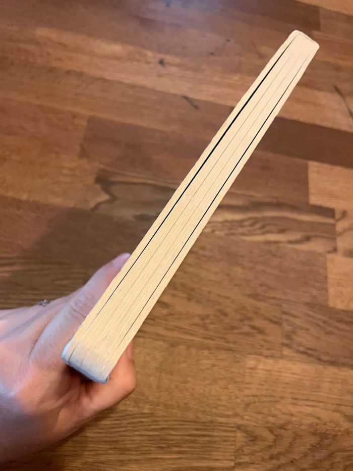 Livre Joue et découvre Les princesses - photo numéro 5