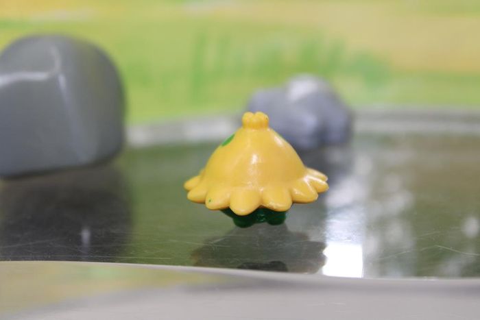 Pokemon Balignon - photo numéro 4