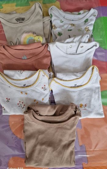 Lot 7 bodies 23 mois