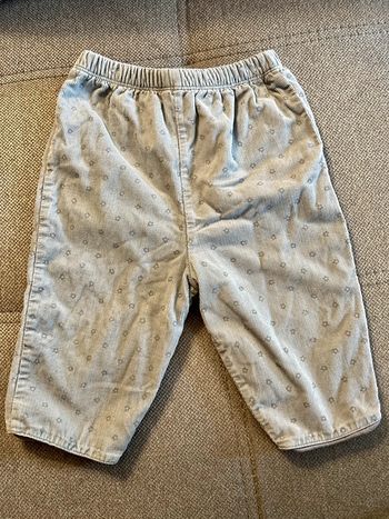 Pantalon velours gris