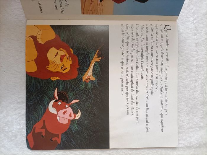 Le Roi Lion – Walt Disney - photo numéro 3