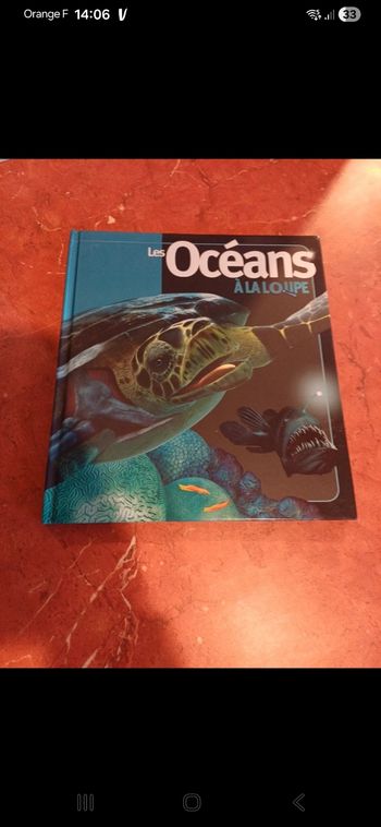 Les océans à la loupe