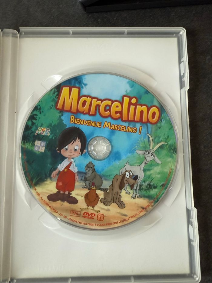 Lot de trois DVD pour enfants - photo numéro 3